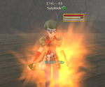 20090131_2.png